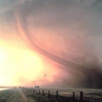 Amazing Videos/Pictures