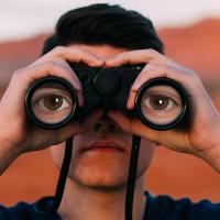 Strange And Wild News