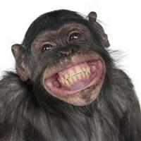 Funny and Cute