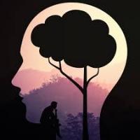 War On Standards/Beauty and Diversity of Thought