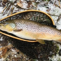 Lackawaxen Pa  outDoor's