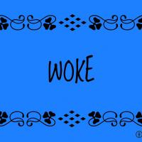 Woke Companies/ places that discriminate  against conservatives