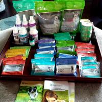 Tmmhealthy pets