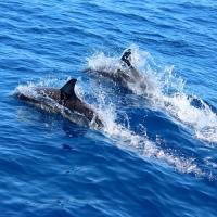 Visions Exploded Photography