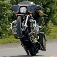 Harley Davidson Bikes and Shit