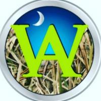 Allstar Wildlife