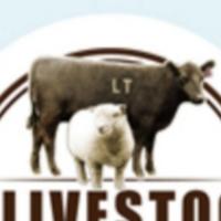 Anderson's Little LT Livestock Hobby Farm