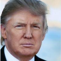 Real Donald Trump