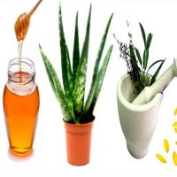 Medicinal Herb & Essential Oil Learning