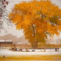 Uintah Basin Holiday And Events