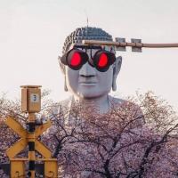 Kratom Cove at Eden Spring