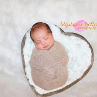 Stephanie Beltran Photography