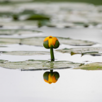 Practicing Photography