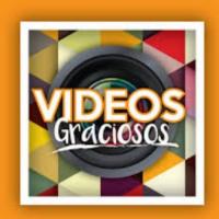 Fotos y vídeos graciosos ?