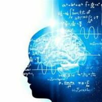 LosUltimosTiempos.com