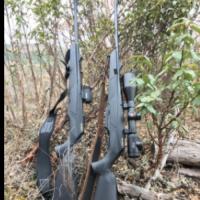 Pistolas Escopetas y Rifles