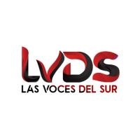 LAS VOCES DEL SUR