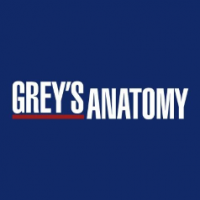 Grey's Anatomy On ABC Network