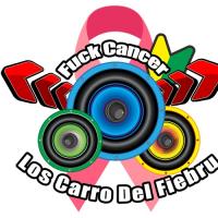 Los carros del fiebru