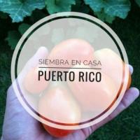 Siembra en Casa Puerto Rico