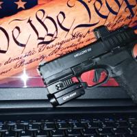 Pistolas y Rifles Springfield Armory Hellcat
