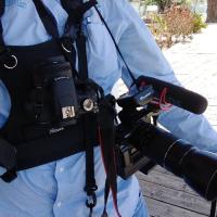 Professional photographers from Puerto Rico Official