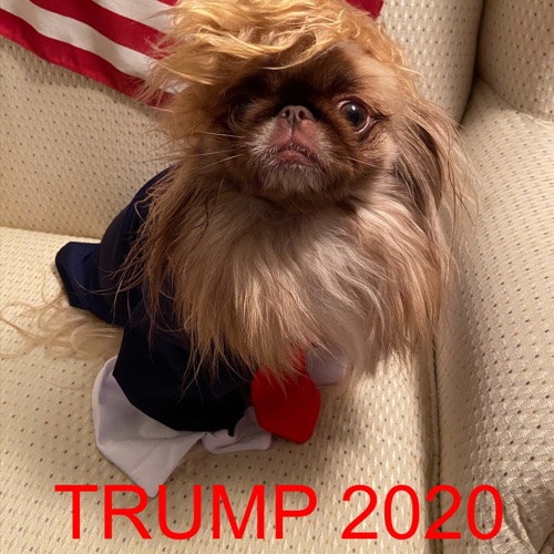 September 9, 2020
