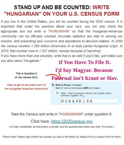 hungarianoncensus