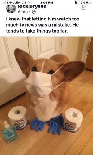 Adjustments.plist