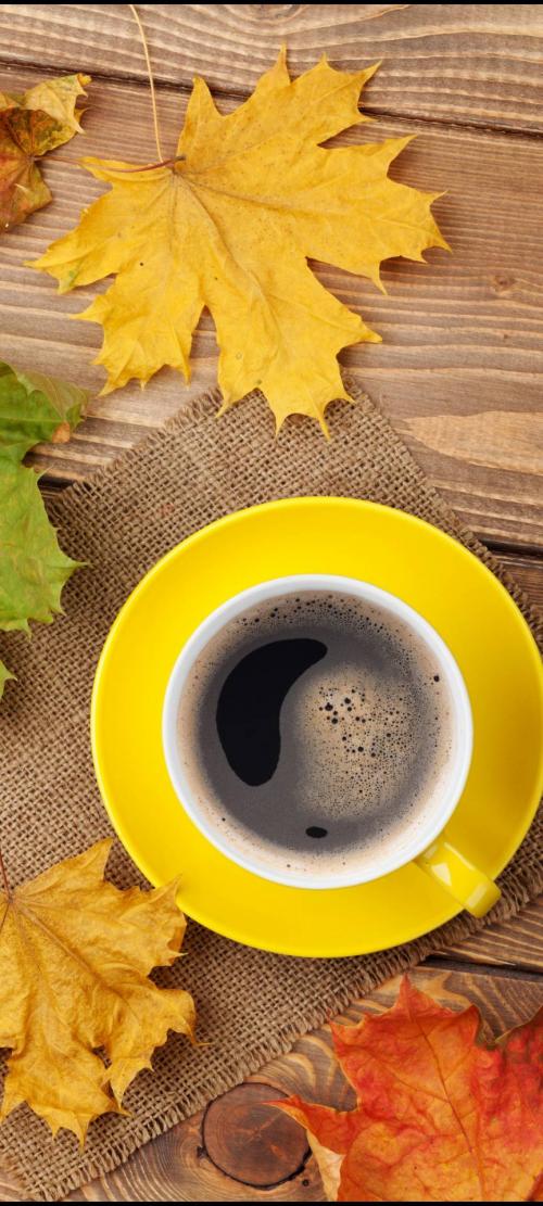 Morning_coffee-9d7e7cc9-b6b4-43cd-80b4-b8dfbddb42e5