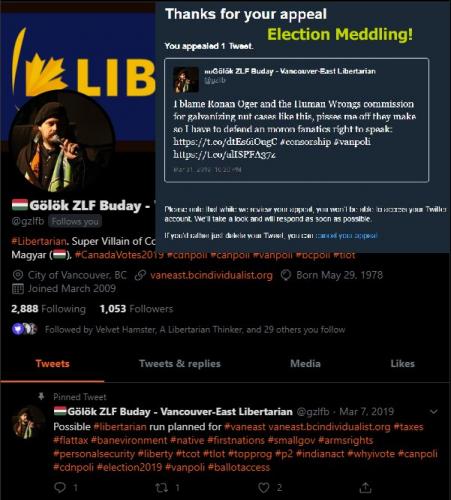 electionmeddling