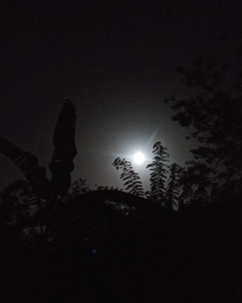 IMG_20200507_210942_862