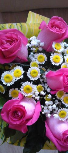 flower-7a7e0ac3-78a3-39d6-9276-7e2b4fea5bfe