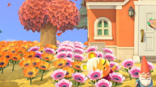 ACNHMay0053