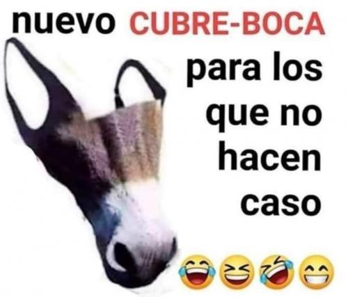 864afbe5-ba2f-4825-9cce-2656f081c619