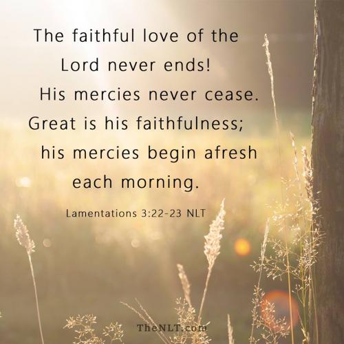Lam 3.22 a