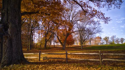 20151109_122511-01