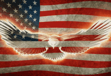 9AD571D0-86FF-48E9-98A1-926013BEB237