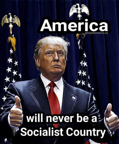 #Trump2020