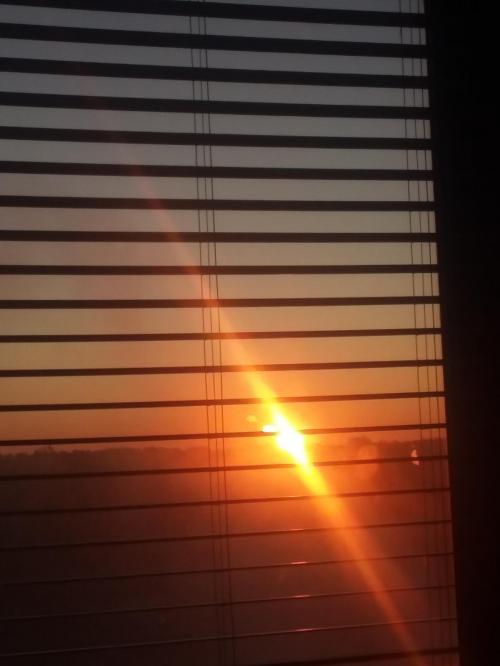 20191112_071526