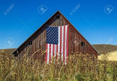 88094803-weathered-red-barn-with-american-flag-in-a-wheat-field-against-a-bright-blue-sky