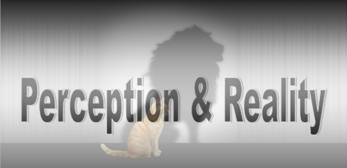Perception Reality blend