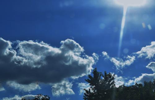DSC_0025 (5)