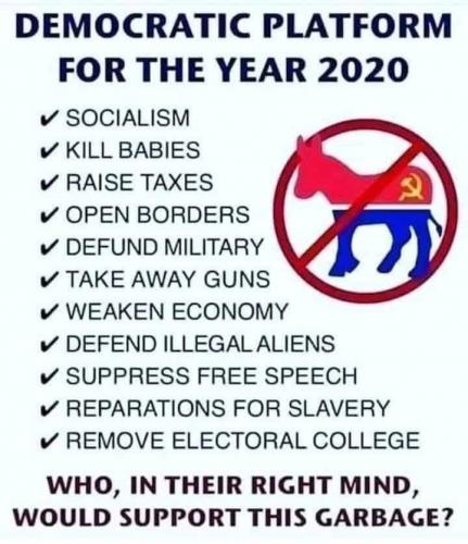 Democrat platform