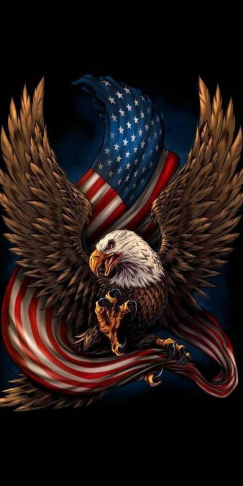 Patriotic_eagle_-ecee2aae-9f35-433c-b954-cc7ee562cfea