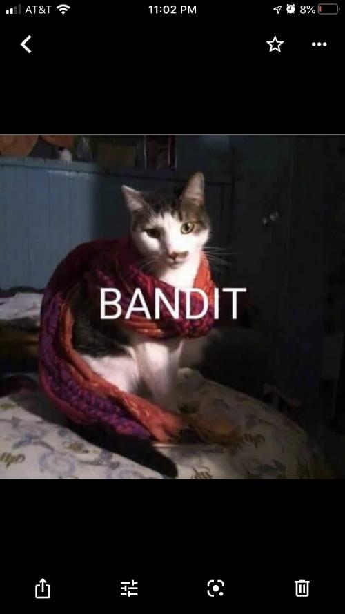 IMG_0195.PNG