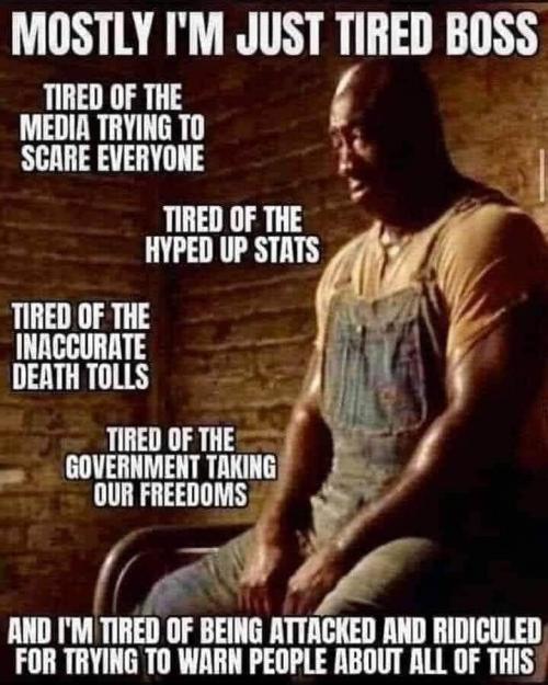 FB_IMG_1595098317890