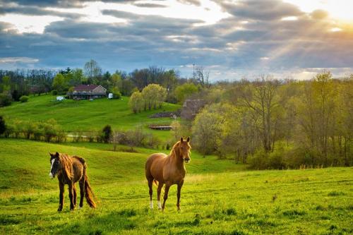 kentucky-pictures-most-beautiful-places-to-visit-kentuckys-bluegrass-region