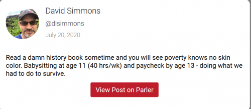 Screenshot_2020-07-20 David Simmons posted to Parler on July 20, 2020