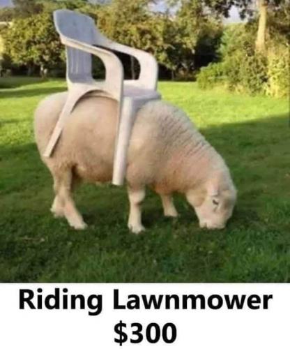 FB_IMG_1595148820317